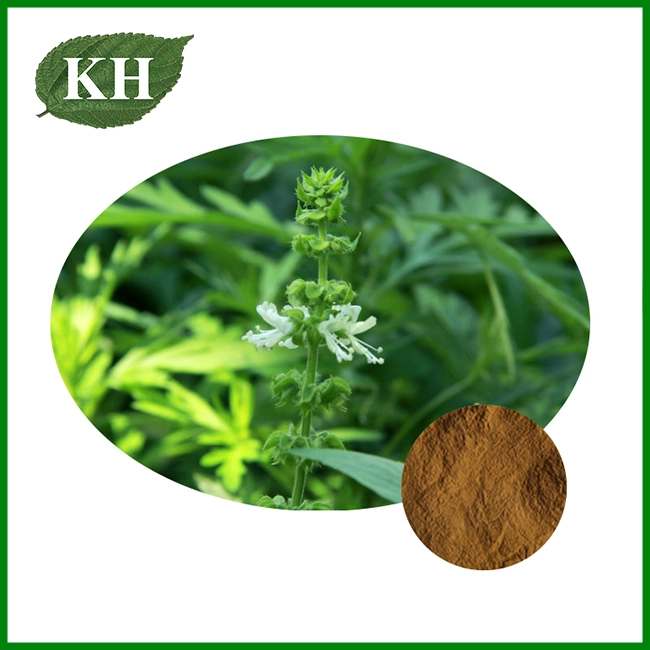 Holy Basil Extract Powder Holy Basil Extract Powder